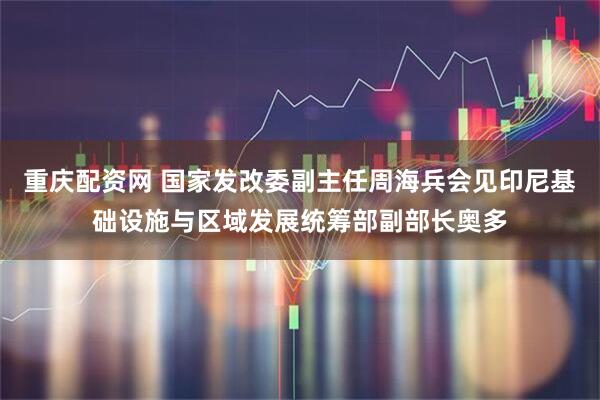 重庆配资网 国家发改委副主任周海兵会见印尼基础设施与区域发展统筹部副部长奥多