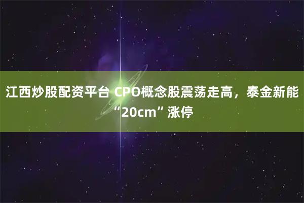 江西炒股配资平台 CPO概念股震荡走高，泰金新能“20cm”涨停